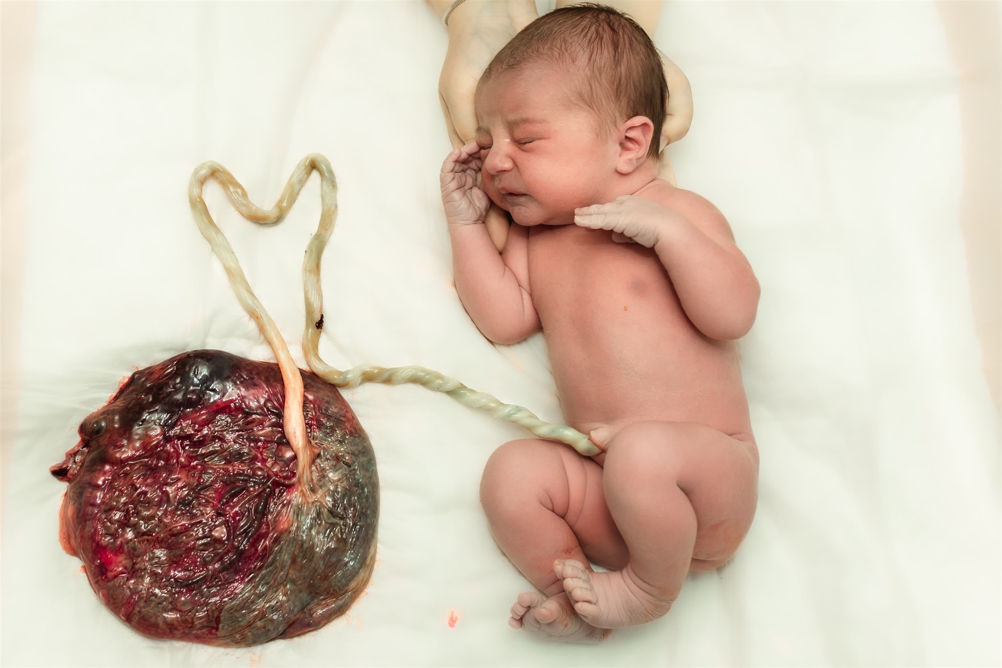 baby born still attached to placenta by umbilical cord. This mom prepared for her home birth by having a clean, disposable surface for us to lay her baby for this photo